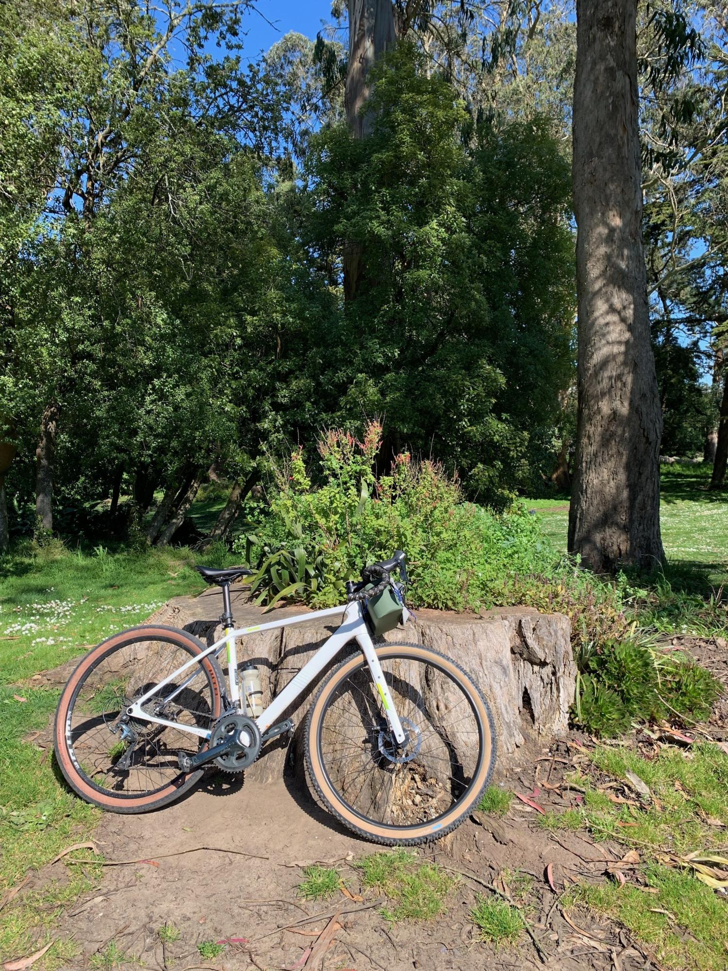 2019 Salsa Warroad Carbon Tiagra 650 White