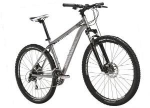 2015 Schwinn Schwinn Silver or Gray