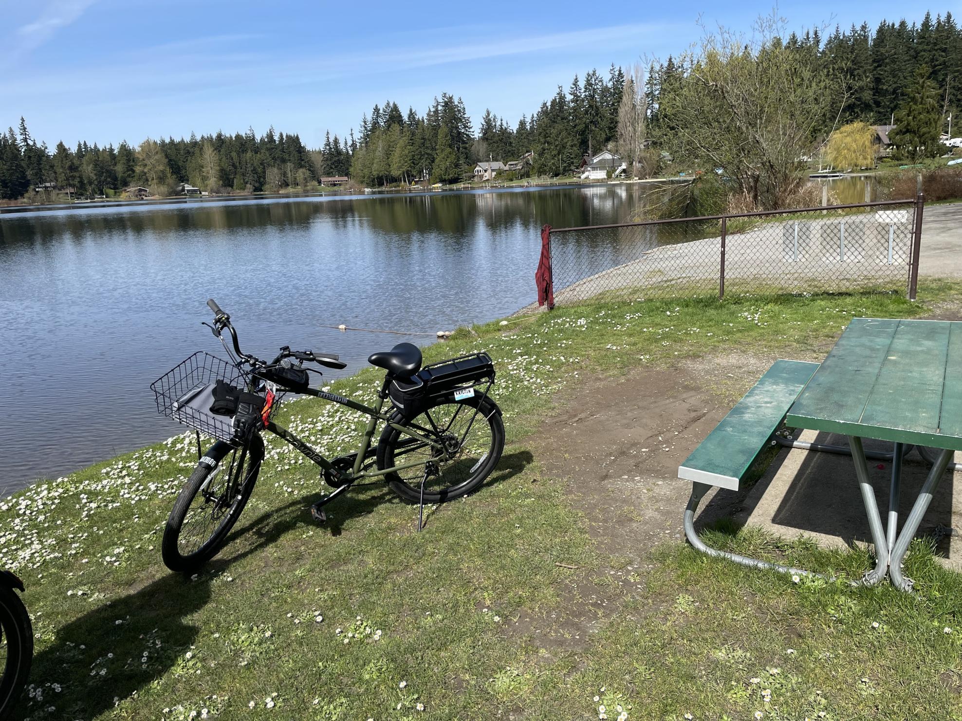 2021 Townie go! step over Green