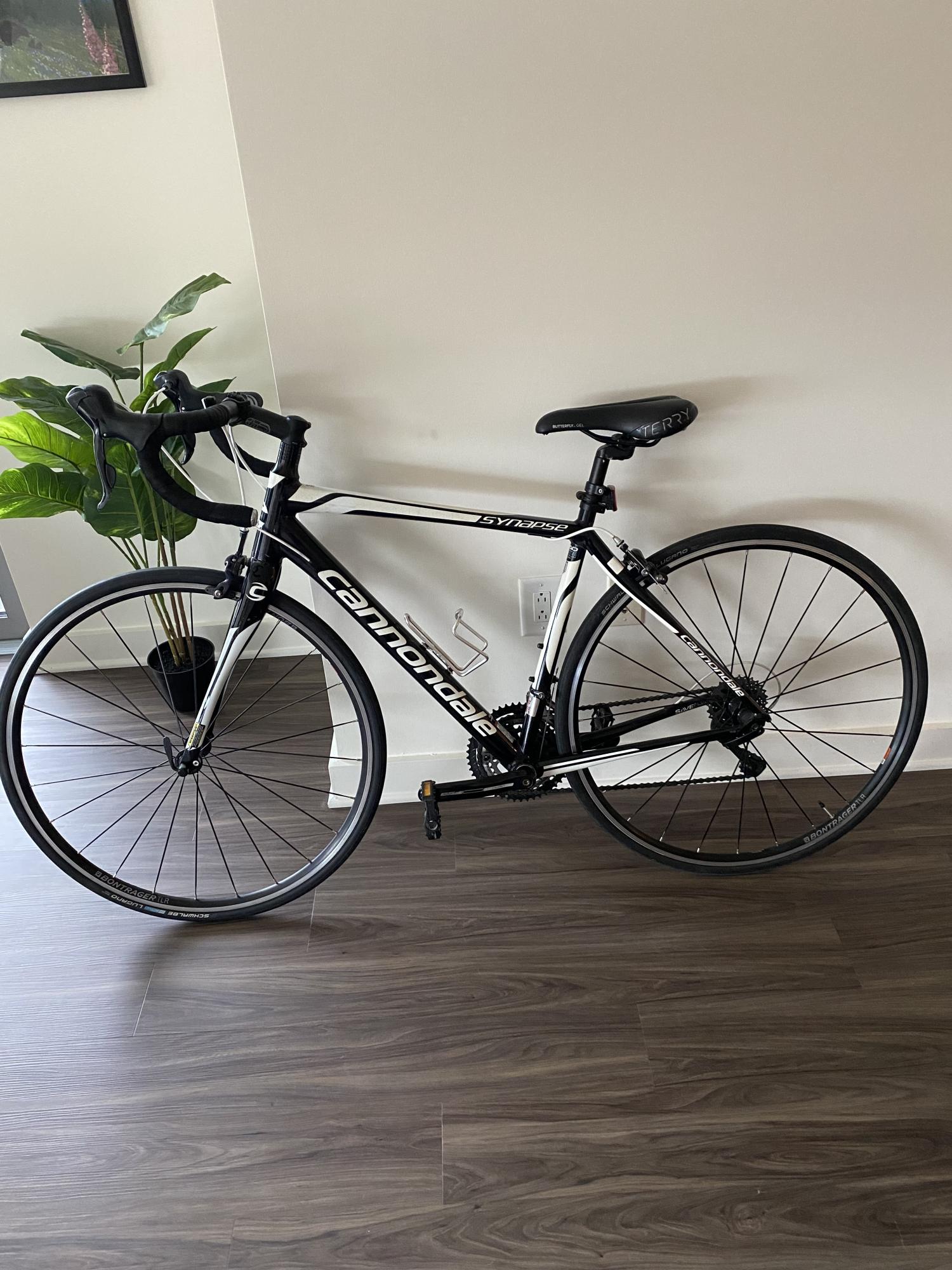 2013 Cannondale Synapse SL 1000 Black and White