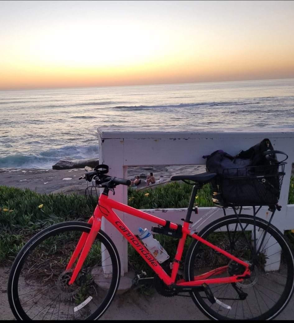 2019 Cannondale Quick SL Disc Women's, SmartForm C2 A... Pink