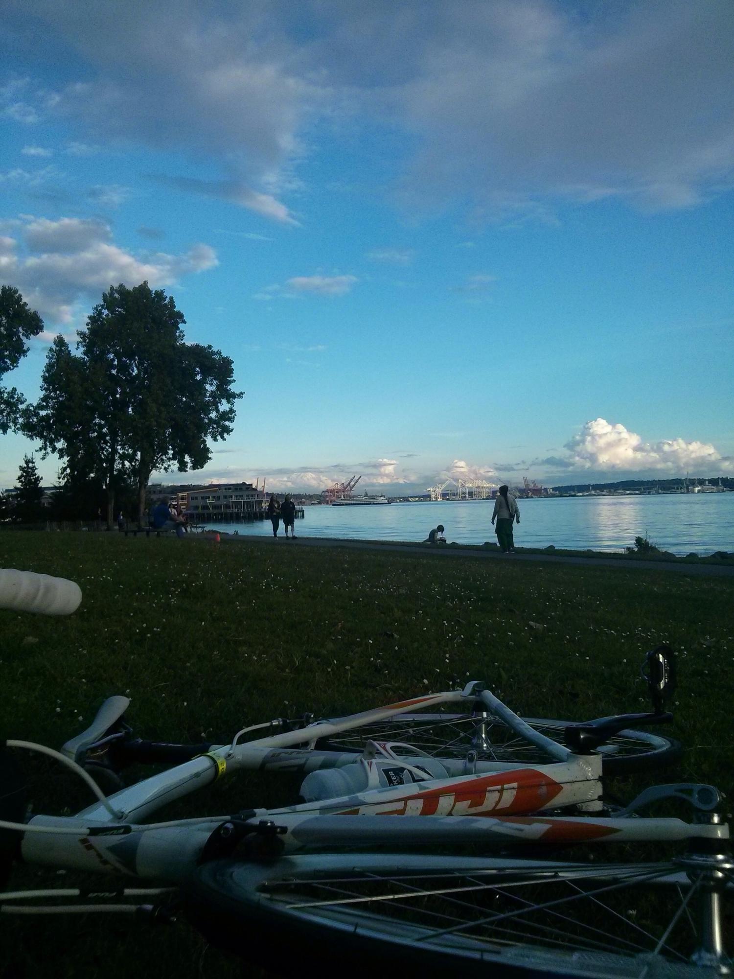 2014 Fuji A2-SL compact alloy   White