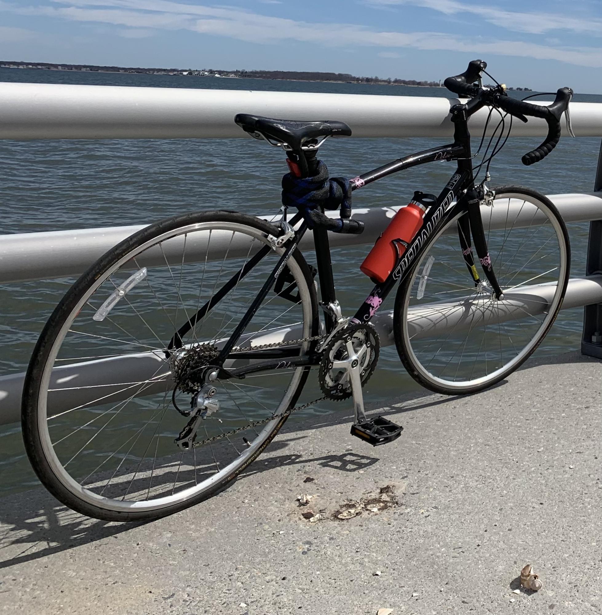 2008 Specialized Dolce Black and Pink