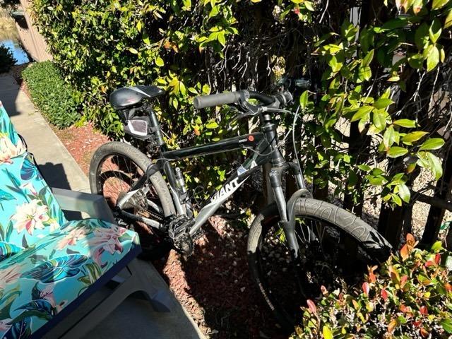 Giant XTC 2 Black and Silver, gray or bare metal