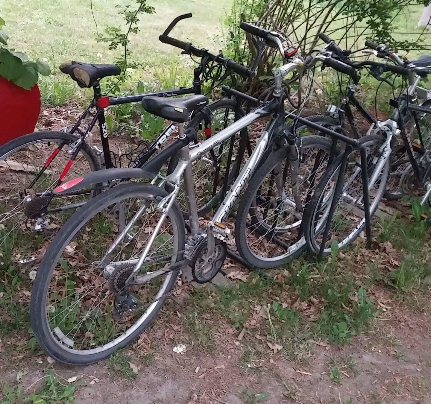 Giant Cypress DX Silver or Gray and Black