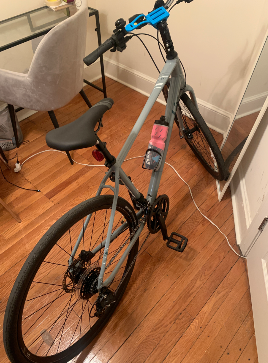 2021 Liv Alight 2 Blue and Silver, gray or bare metal