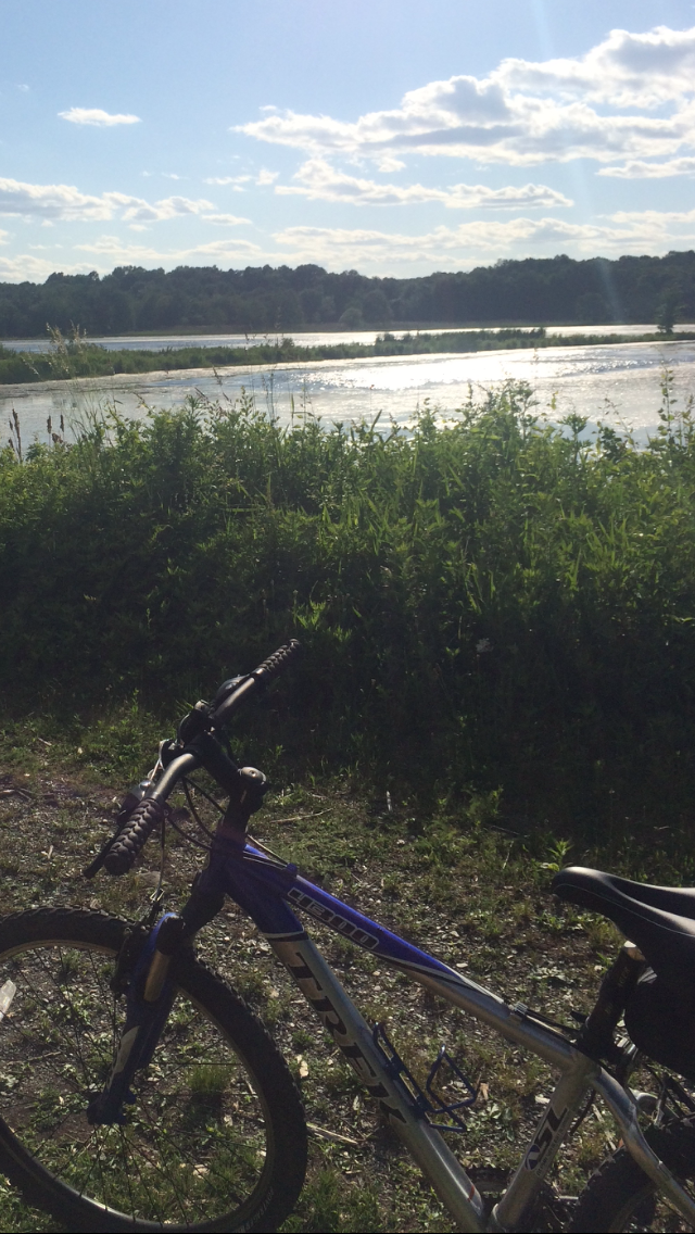 2006 Trek 4300 Blue and Silver or Gray
