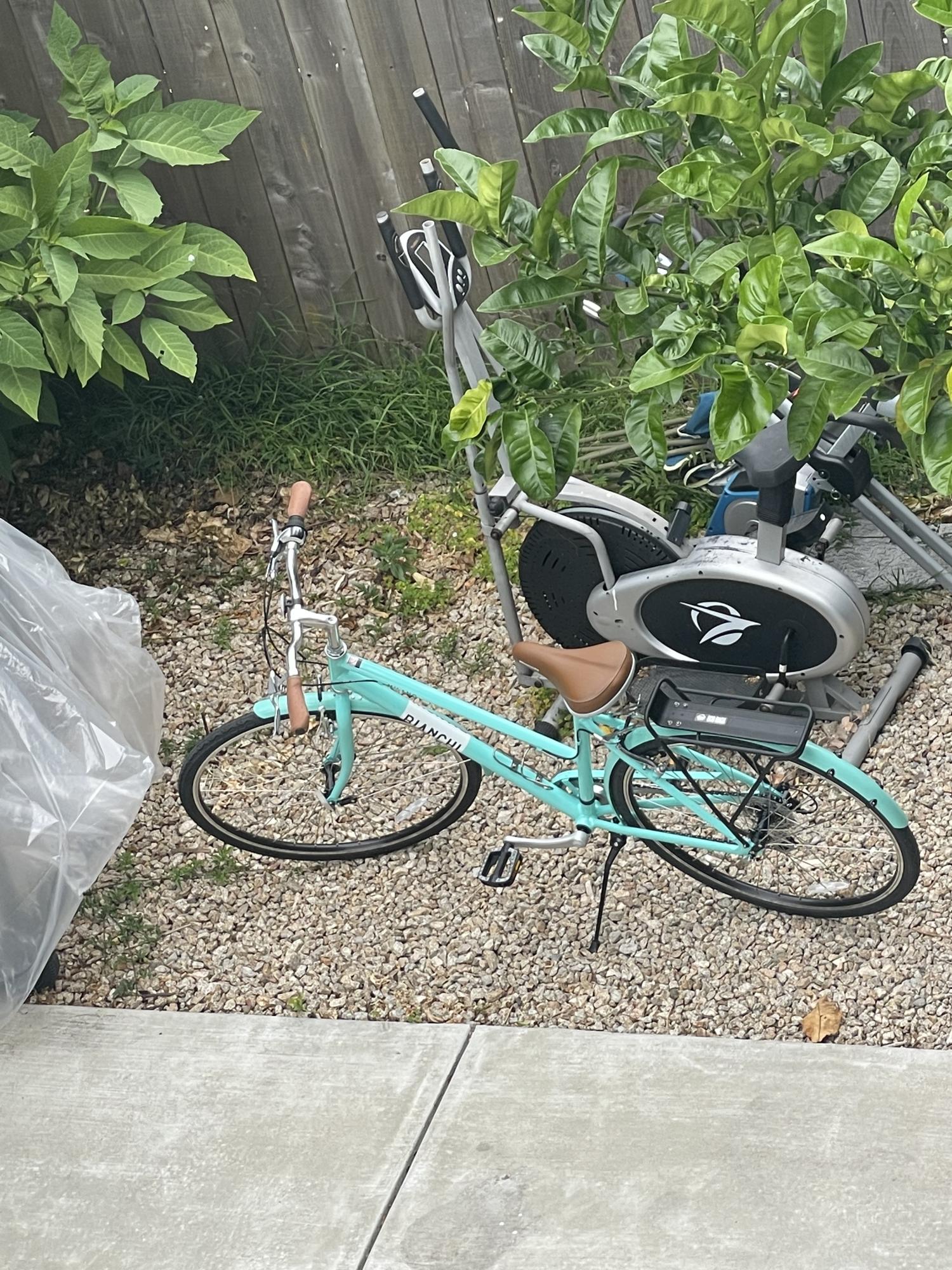 Bianchi Milano Dama Blue