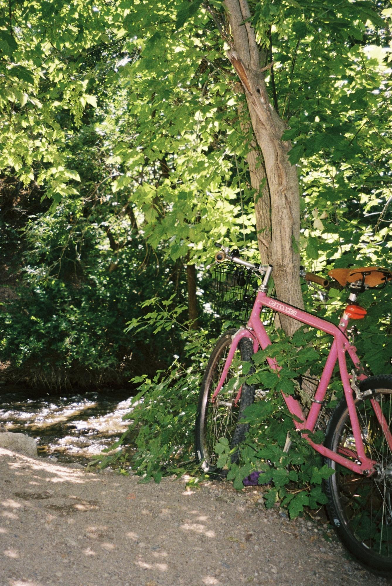 1986 Cannondale sm600 Pink