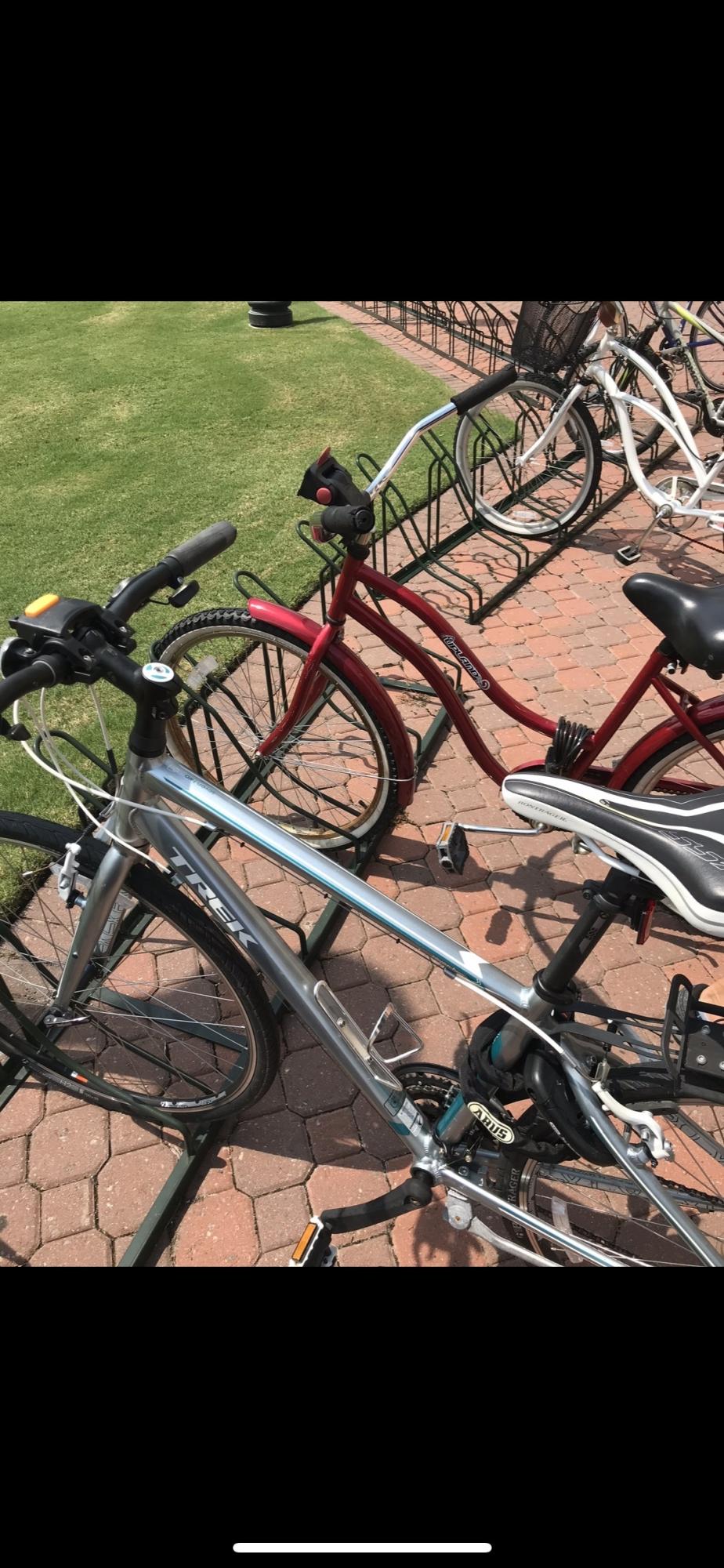 2023 Trek Silver, gray or bare metal and Blue