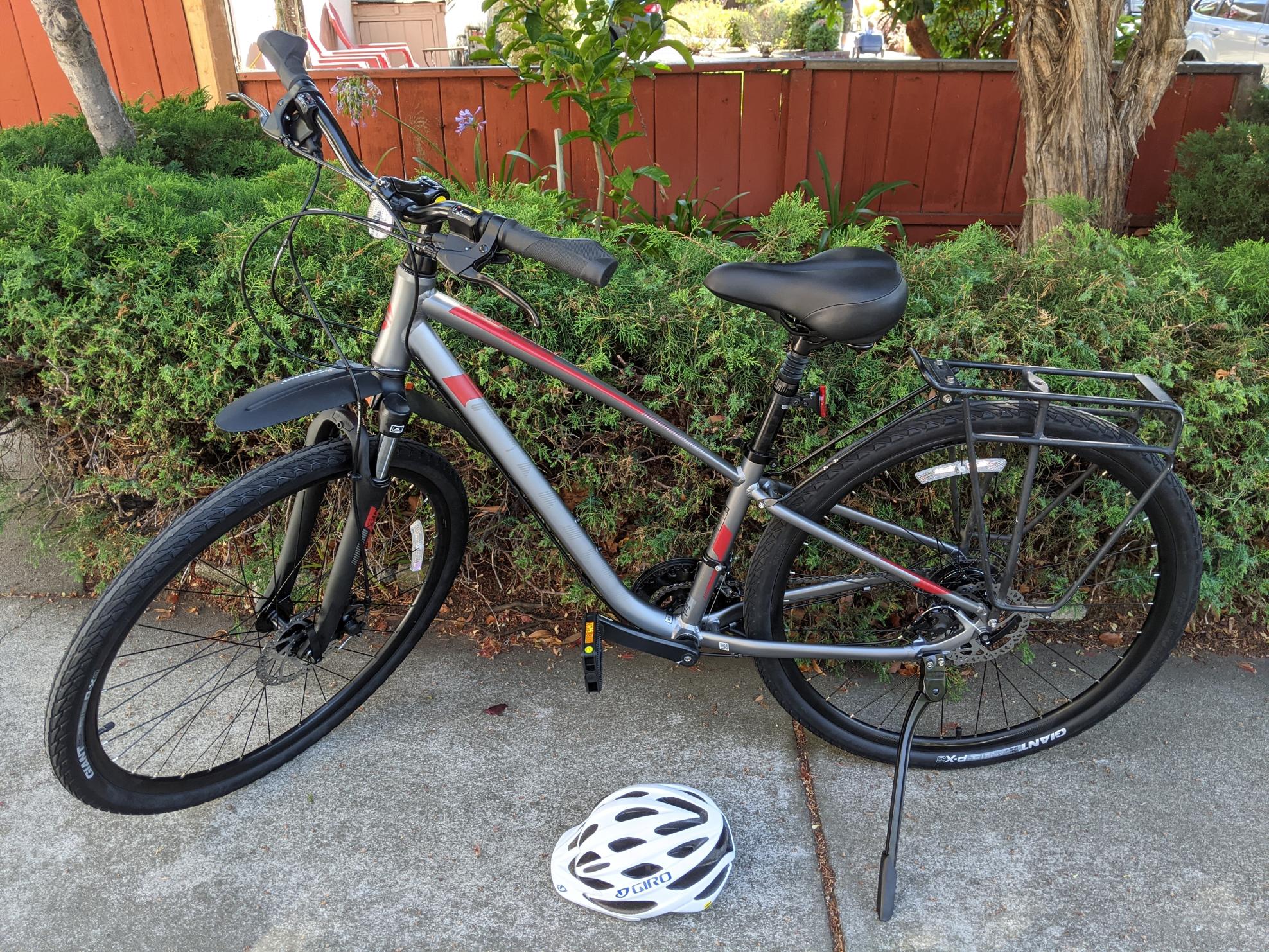 2021 Giant Cypress DX Silver, gray or bare metal