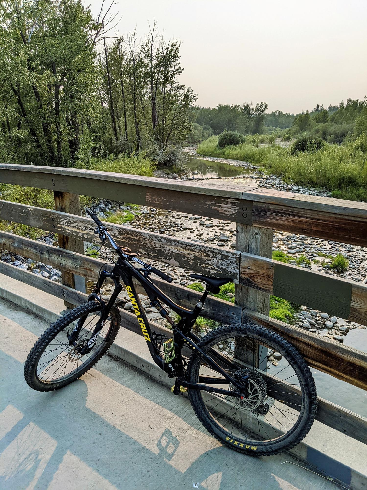 2017 Santa Cruz 5010 CC Black and Yellow or Gold