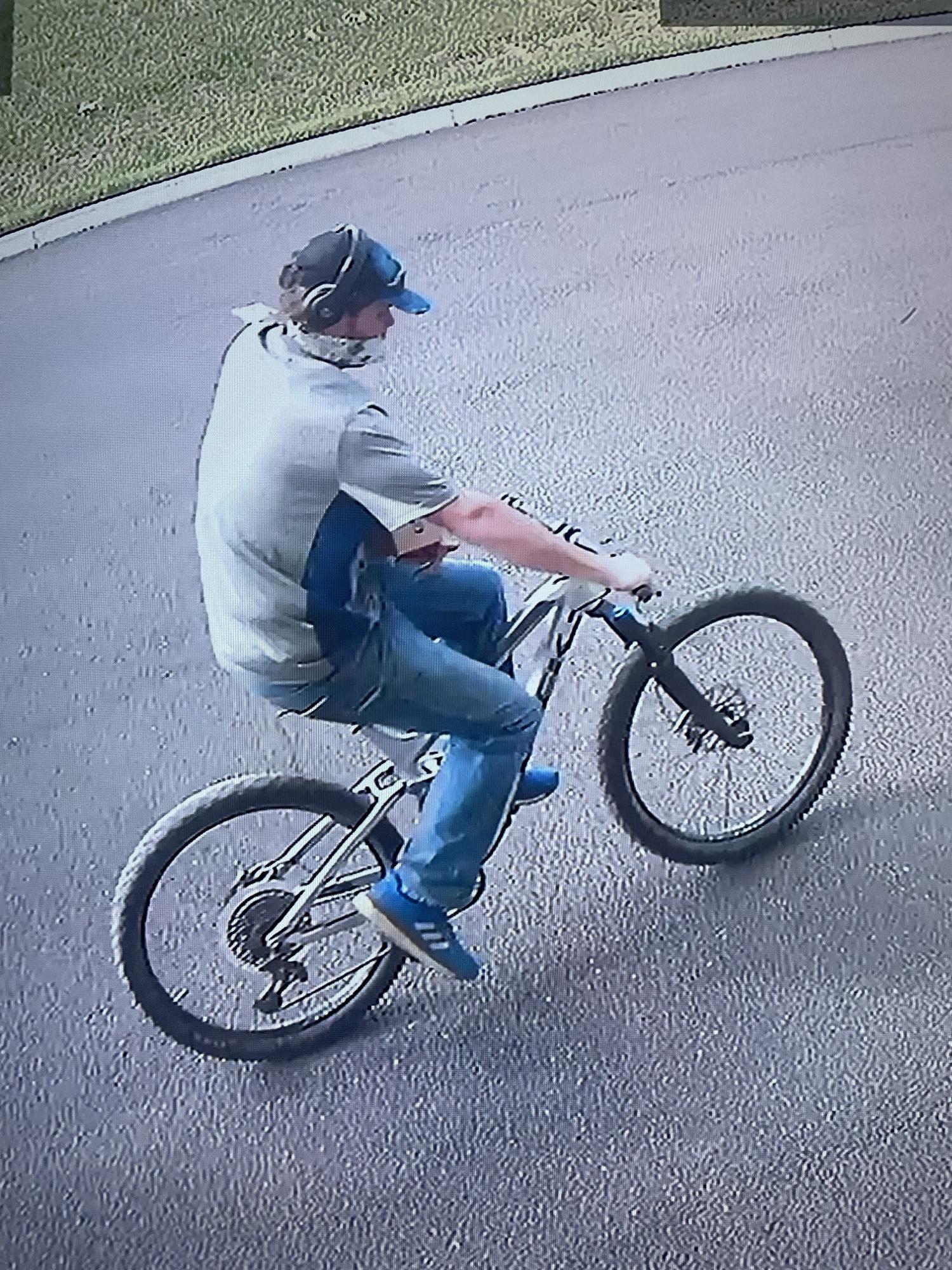 2018 Trek Fuel EX 8 Silver, gray or bare metal