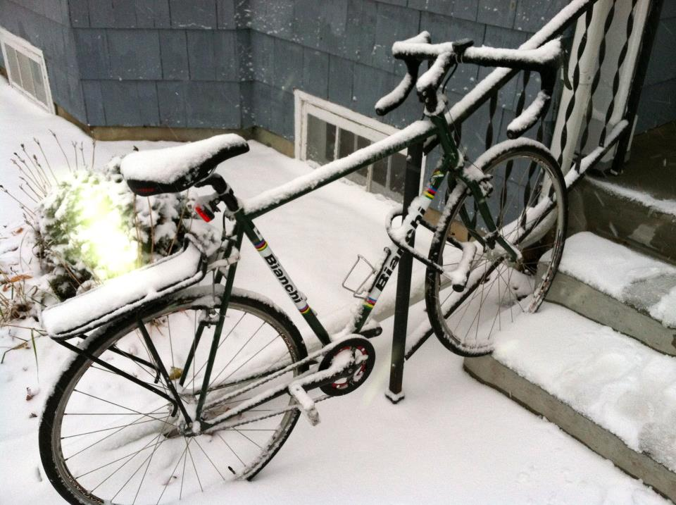 Bianchi San Jose Green