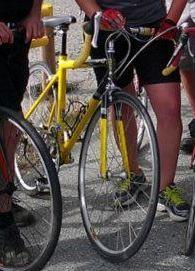 Giant TCR Yellow or Gold