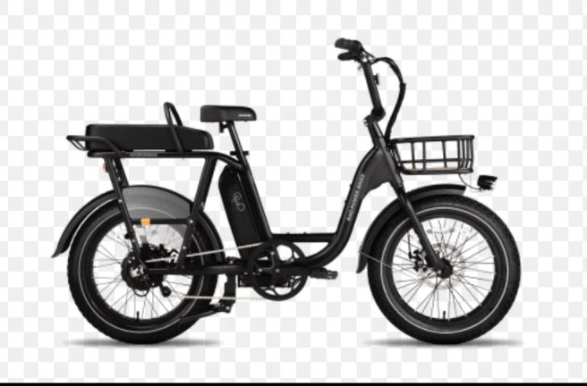 2020 Rad Power Bikes Rad Runner Plus Silver, gray or bare metal and Black