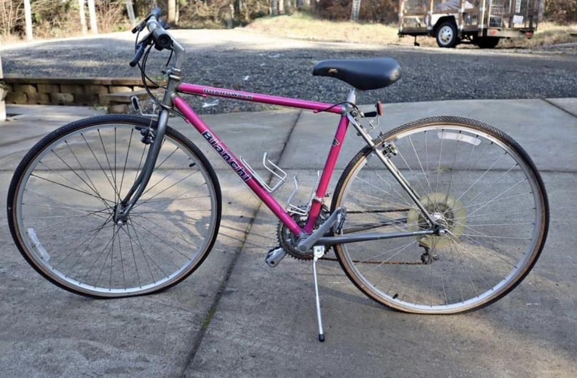 1995 Bianchi Boardwalk Pink