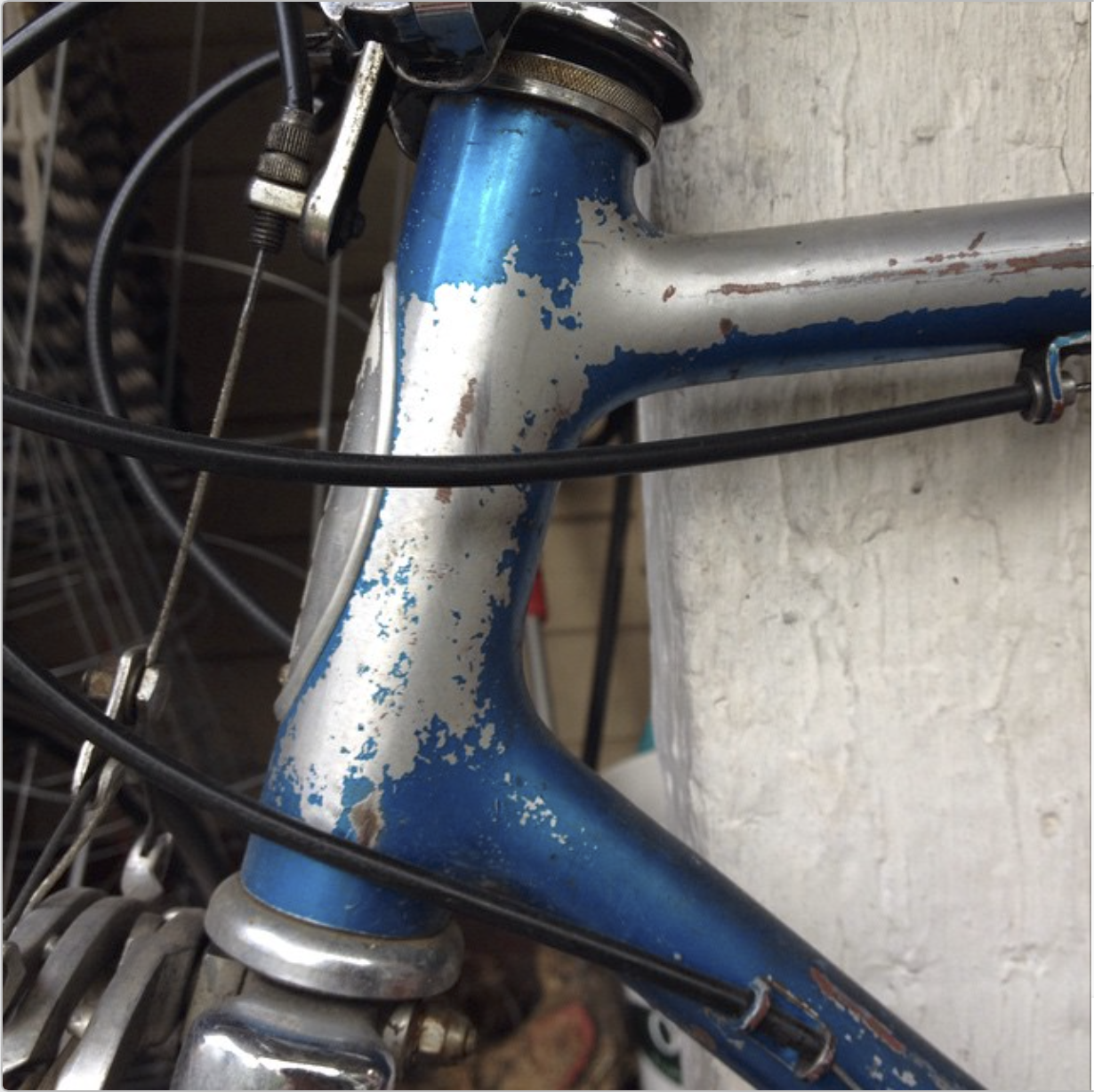 Schwinn Continental Blue