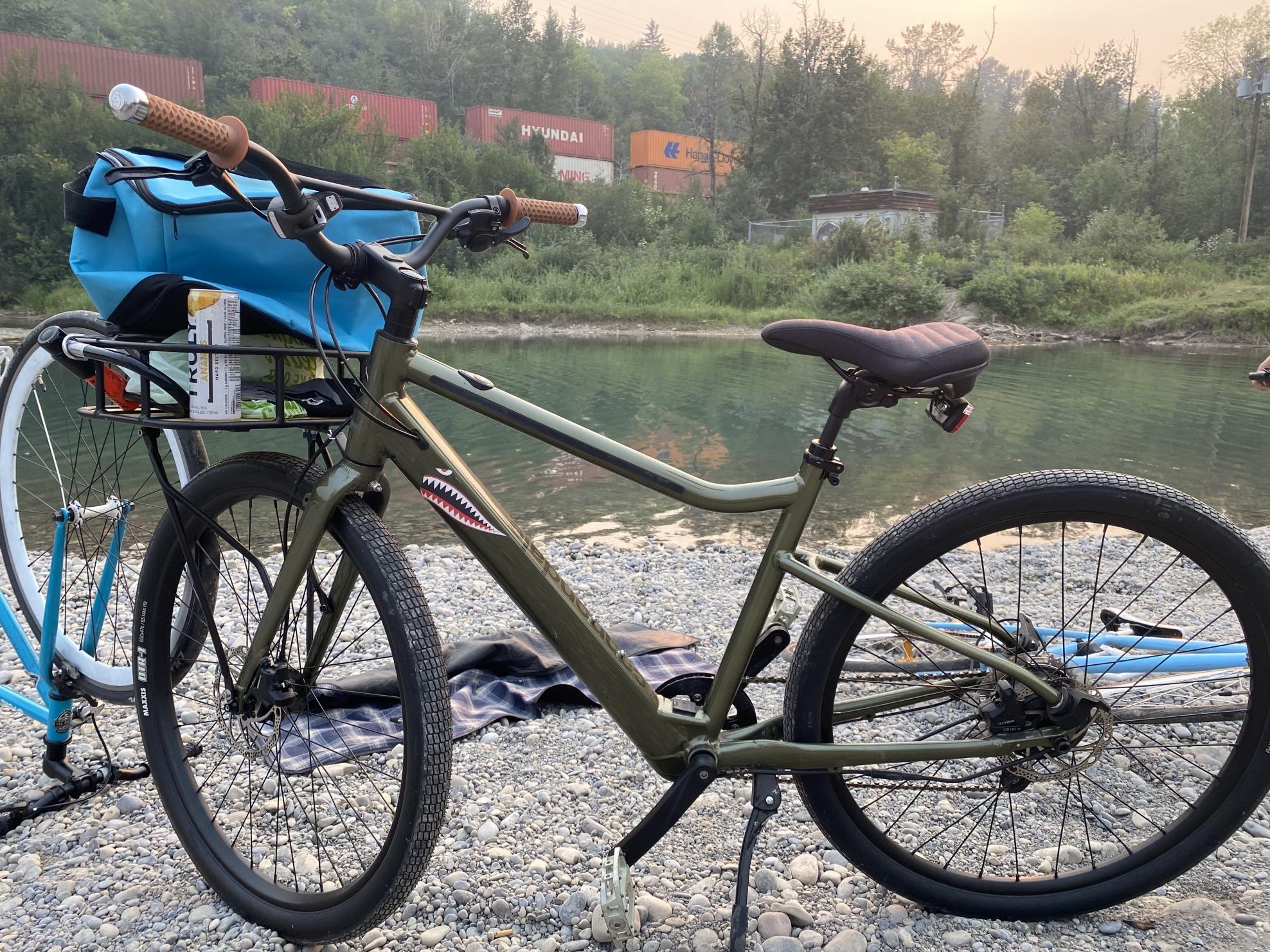 2020 Cannondale Treadwell Green