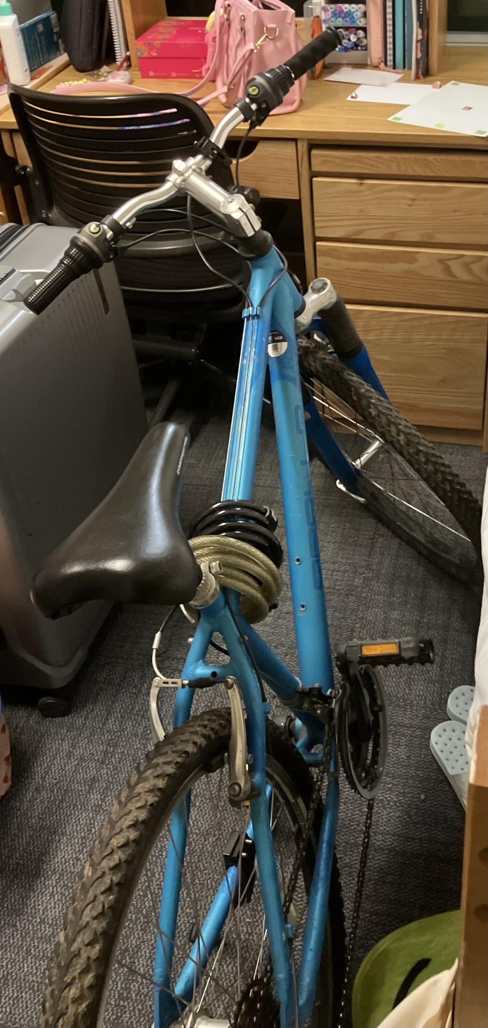 Apollo Apollo Charm Blue