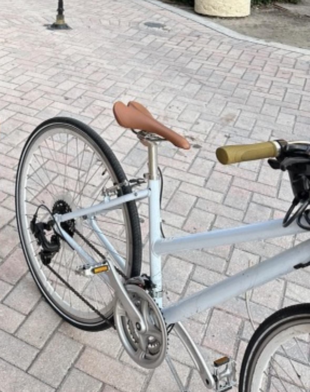 Loco Cycles Hybrid City X Step-Thru 21S White