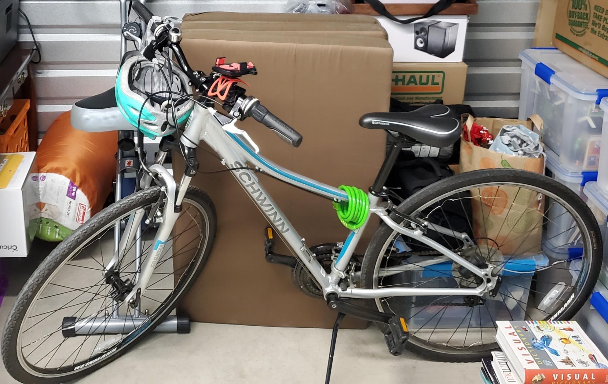 Schwinn Searcher Silver, gray or bare metal
