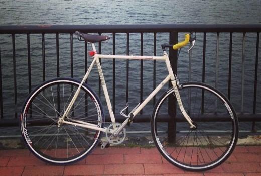 Schwinn Traveler White