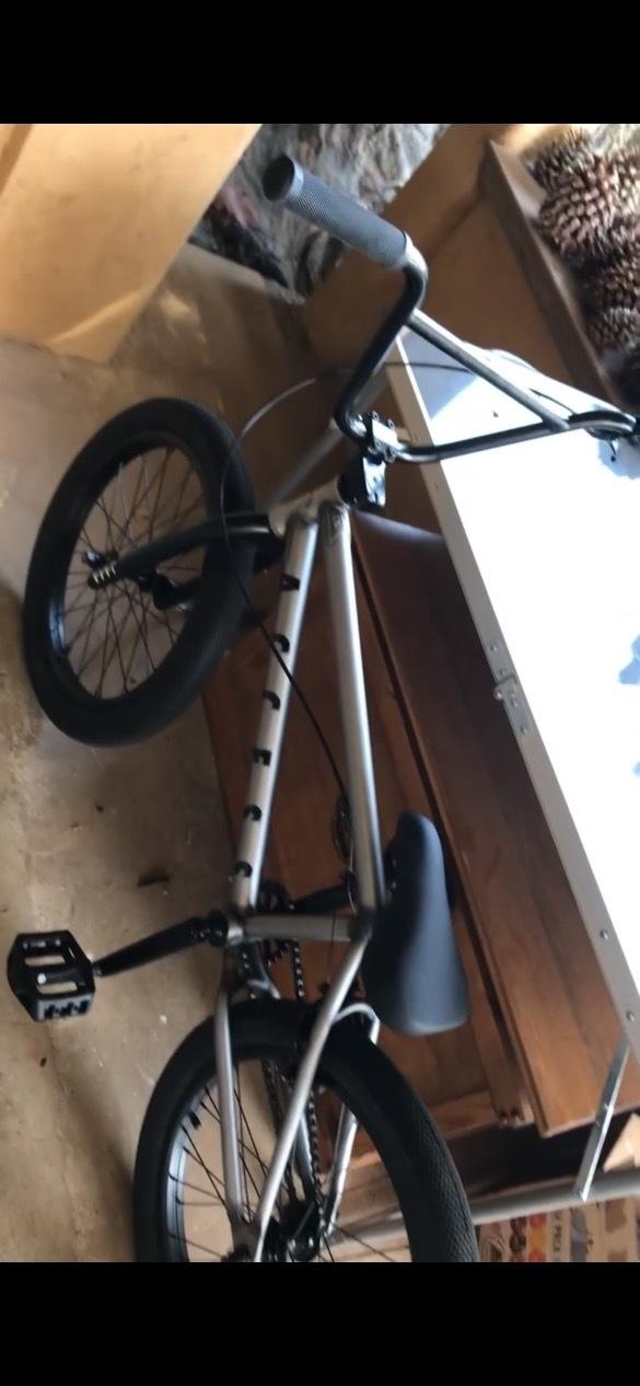 Cult Silver, gray or bare metal and Black