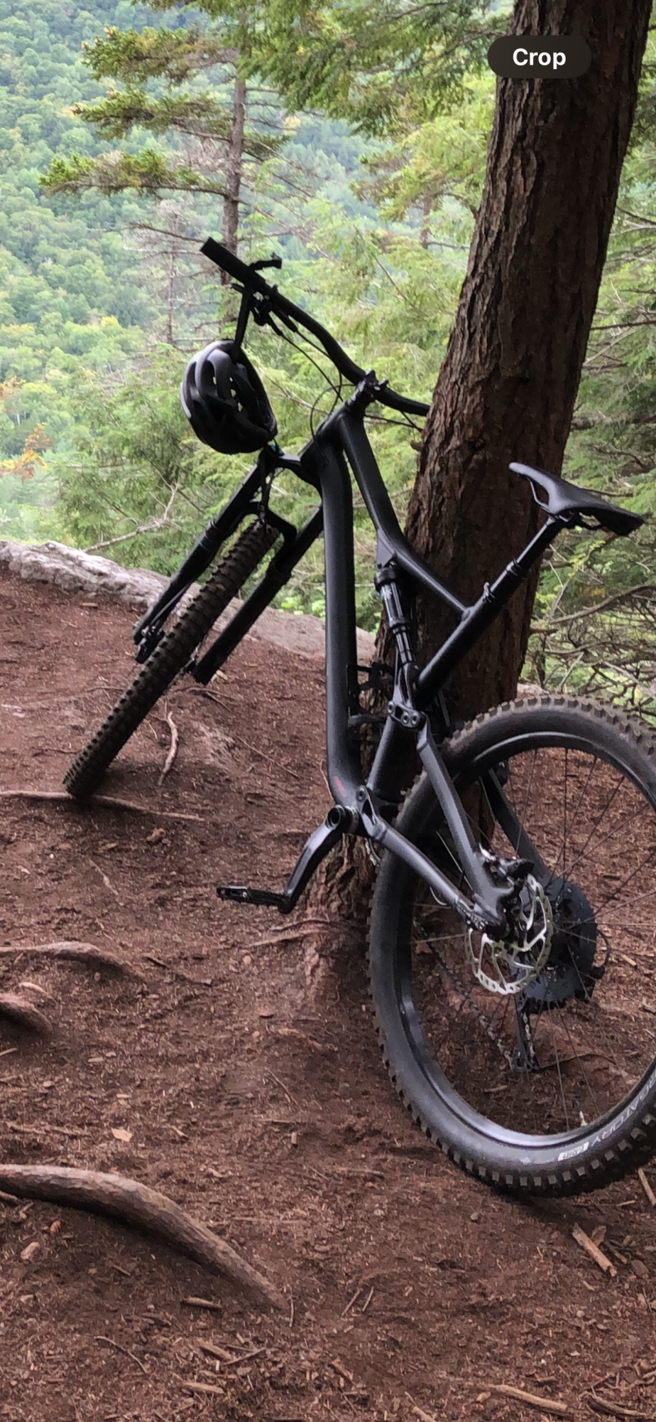 2019 Specialized Large Black and Red