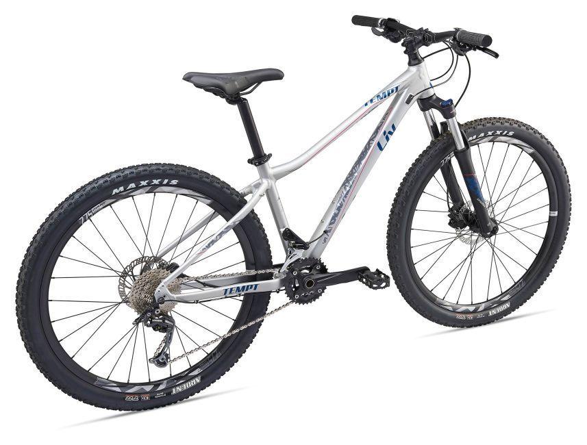 2019 Giant Tempt 2 Silver, gray or bare metal