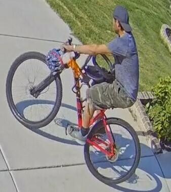 2021 Trek MARLIN 7 Red and Yellow or Gold