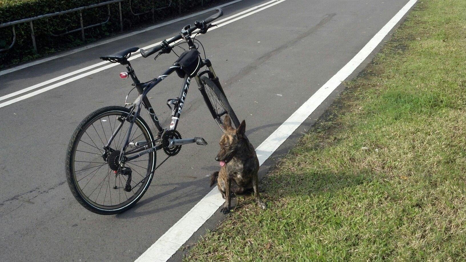 2008 Hasa Black and White