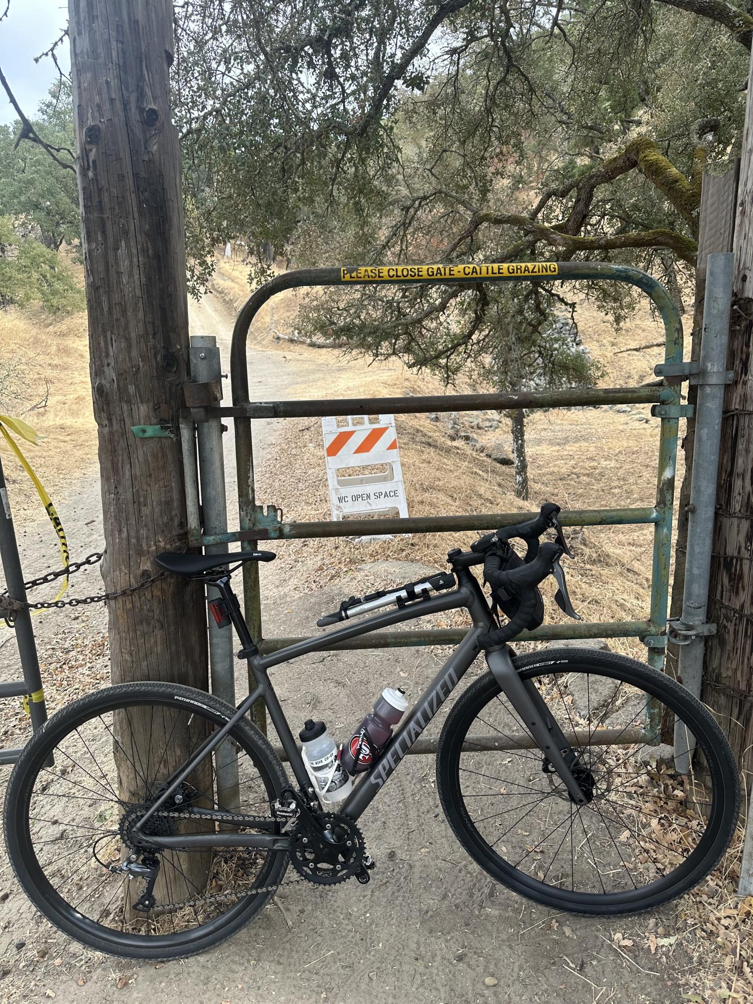 2021 Specialized Diverge Silver, gray or bare metal