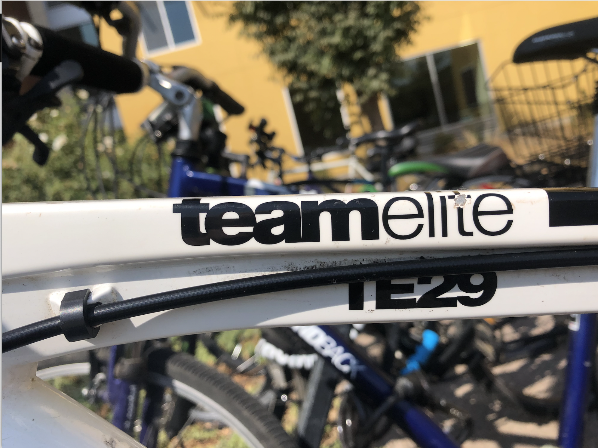 BMC White and Black