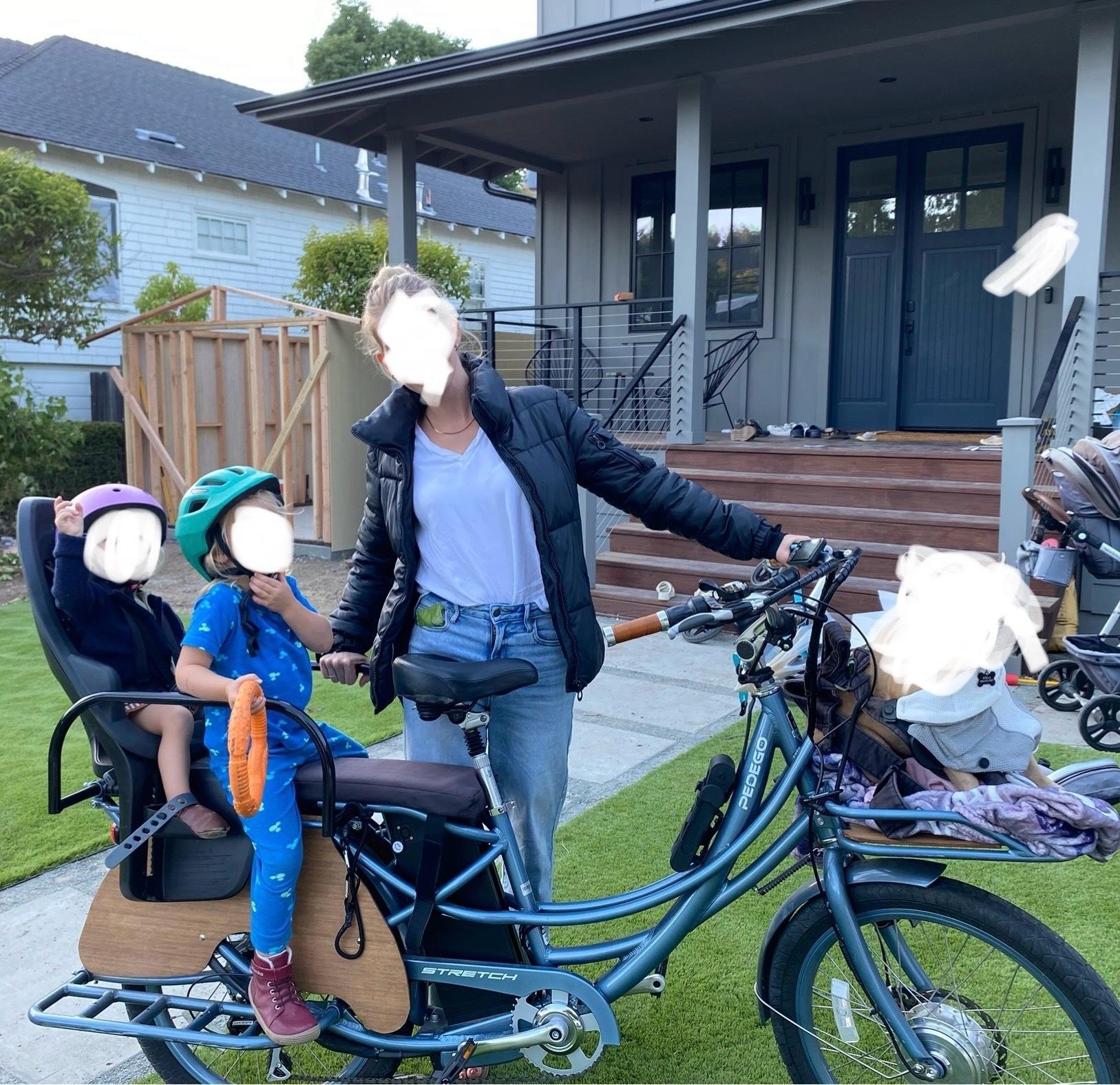 2018 Pedego Pedego Stretch with Wood kit Blue