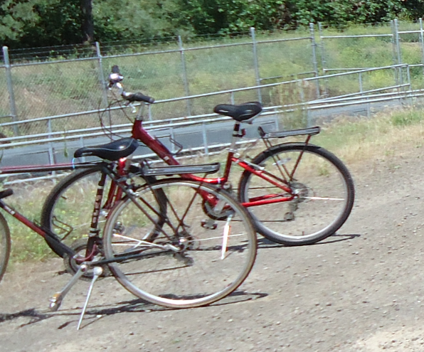 2003 Raleigh Venture  Red