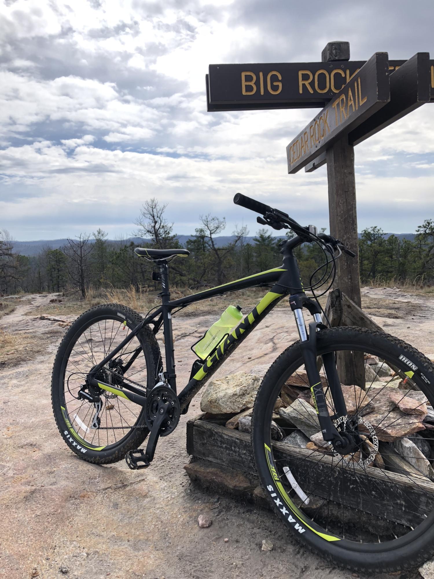 2023 Giant Talon Black and Green