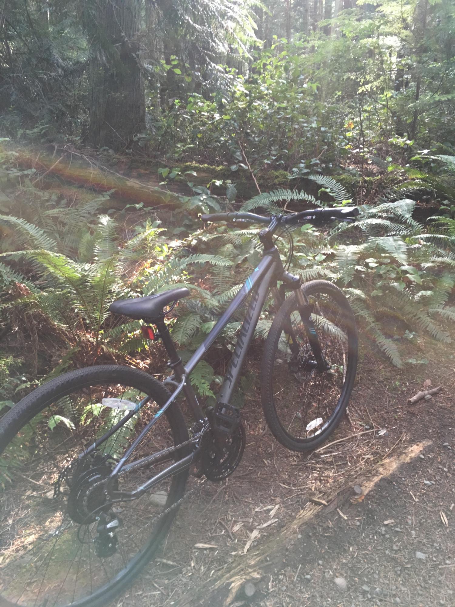 2016 Specialized Ariel Disc Black and Teal