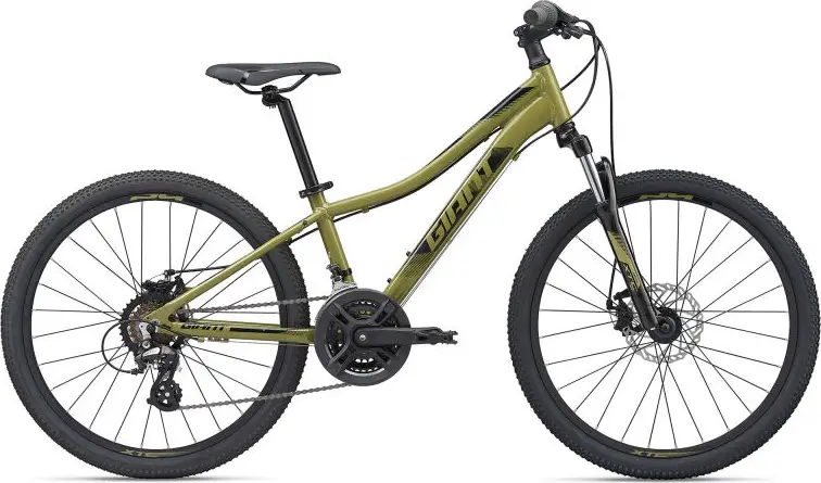 2020 Giant ALUXX-Grade Aluminum Green