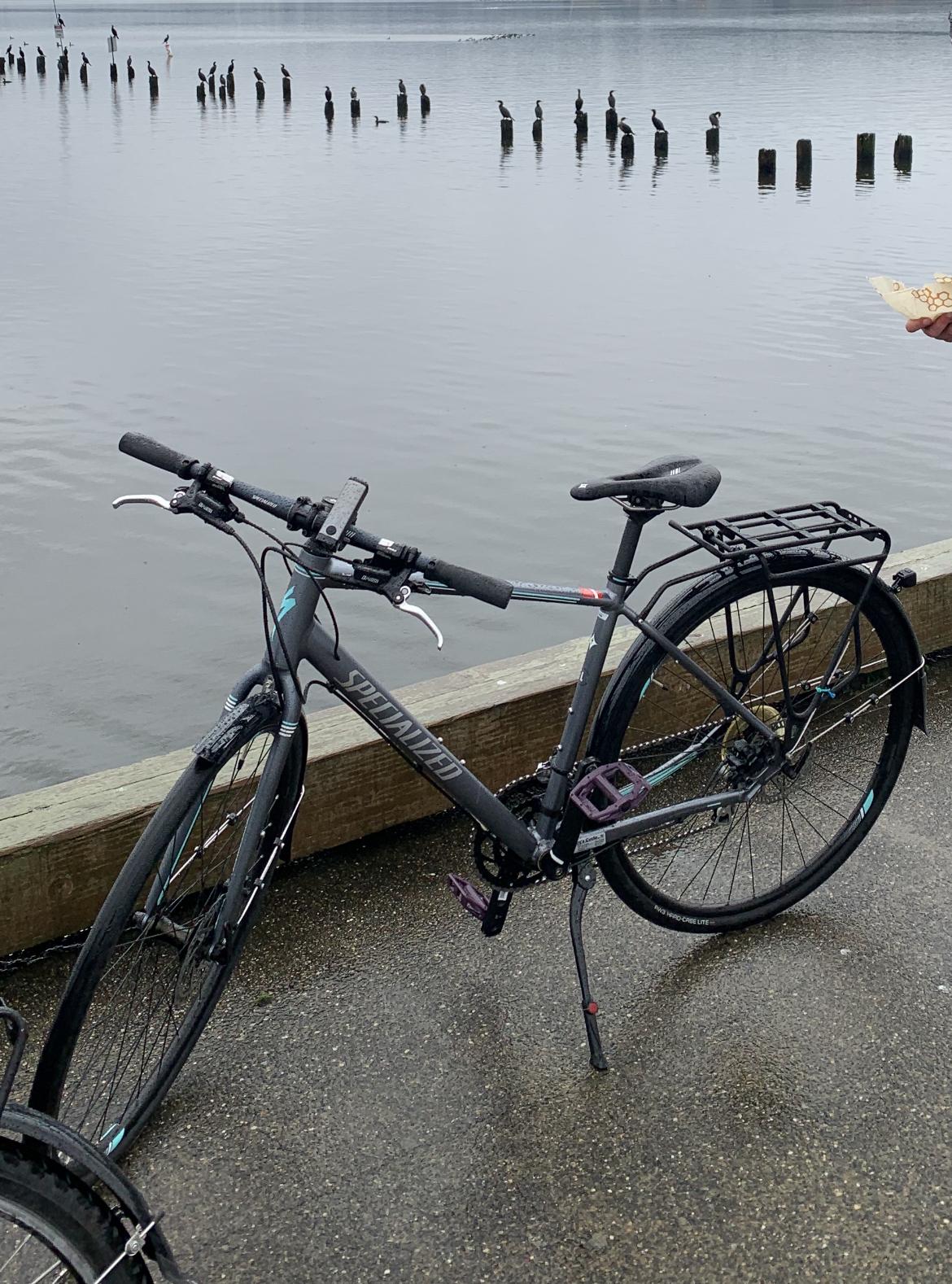 2022 Specialized Vita Silver, gray or bare metal