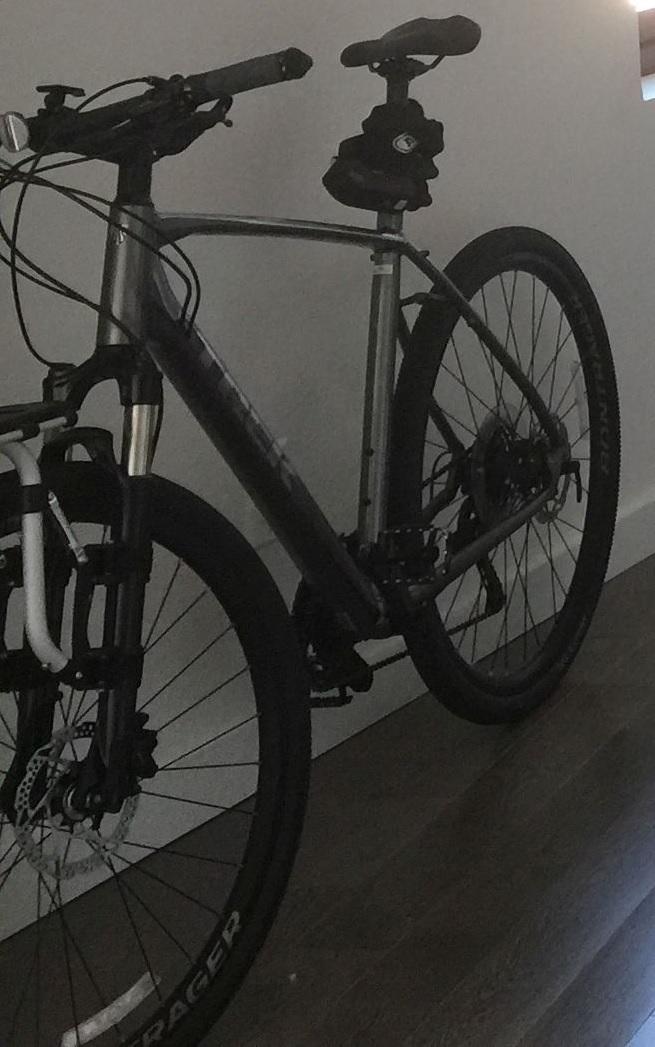 2019 Trek Alpha Gold Aluminum Black