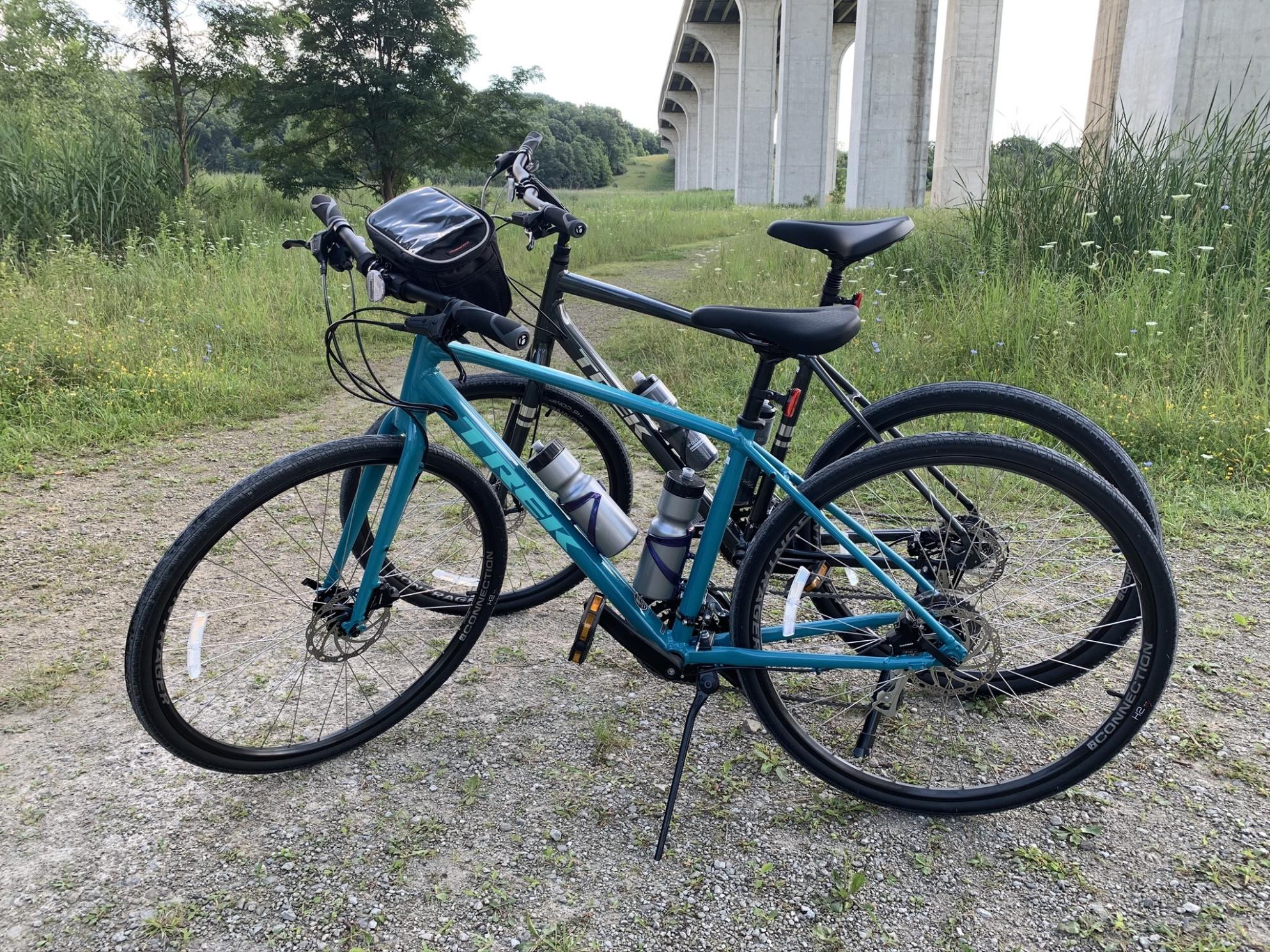Trek Verve 2 Silver, gray or bare metal