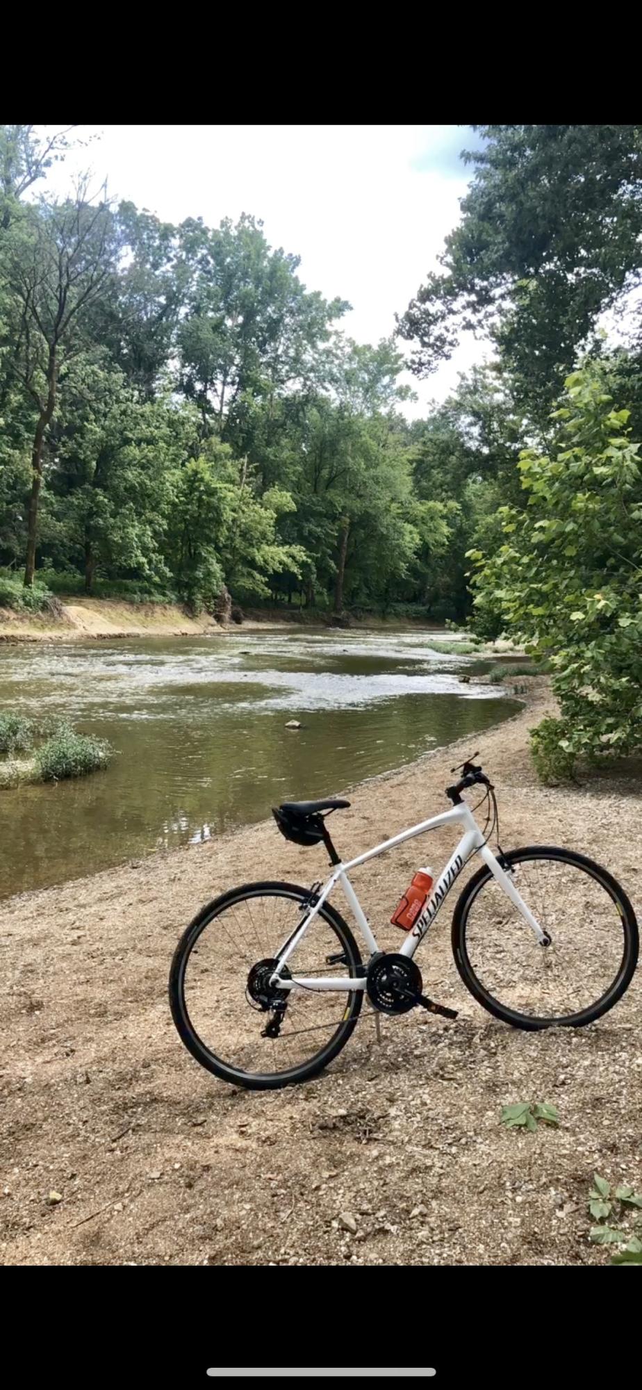 2019 Specialized Sirrus White