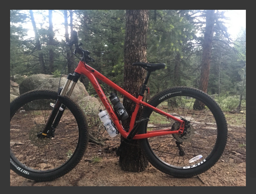 2019 Salsa Timberjack Red