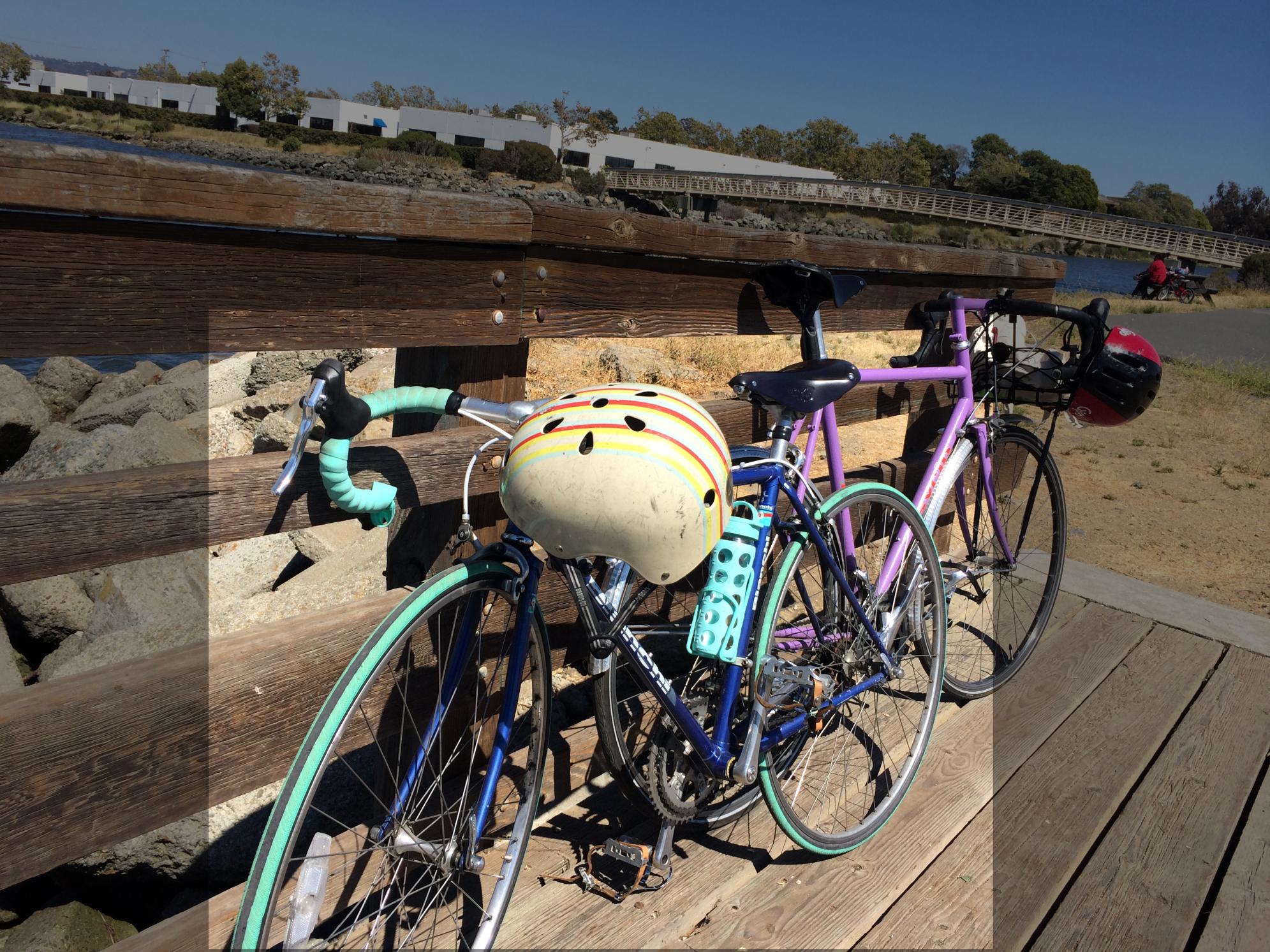 1983 Bianchi Blue and Teal