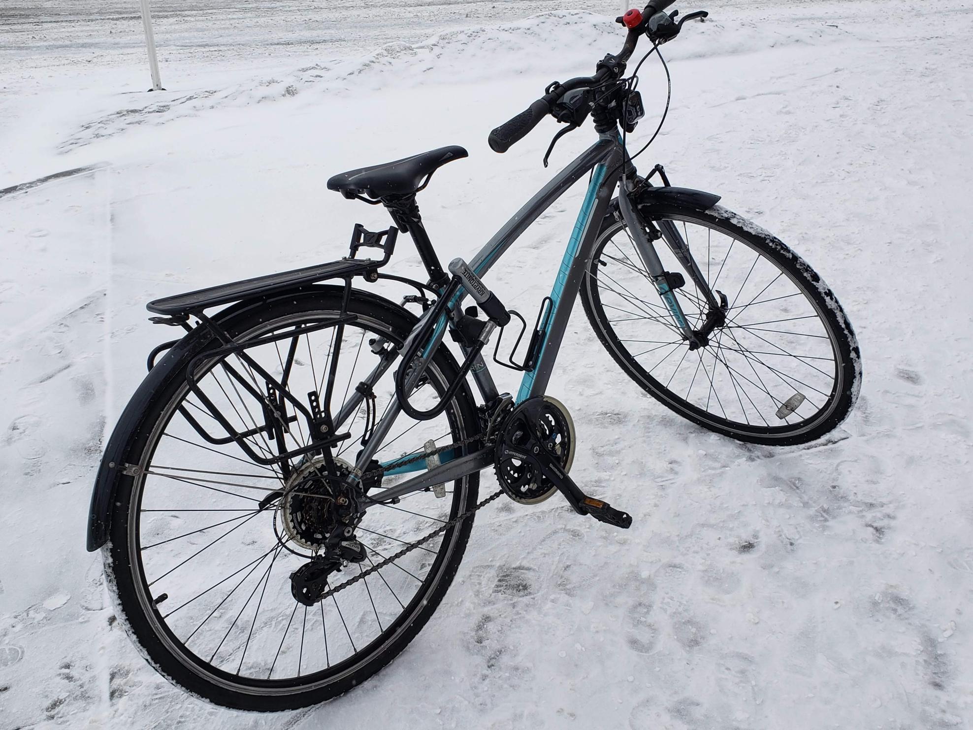 2016 Devinci Women Silver, gray or bare metal and Green