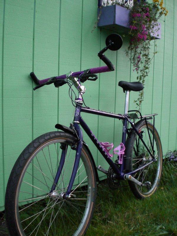 1994 Bianchi Ibex  Purple