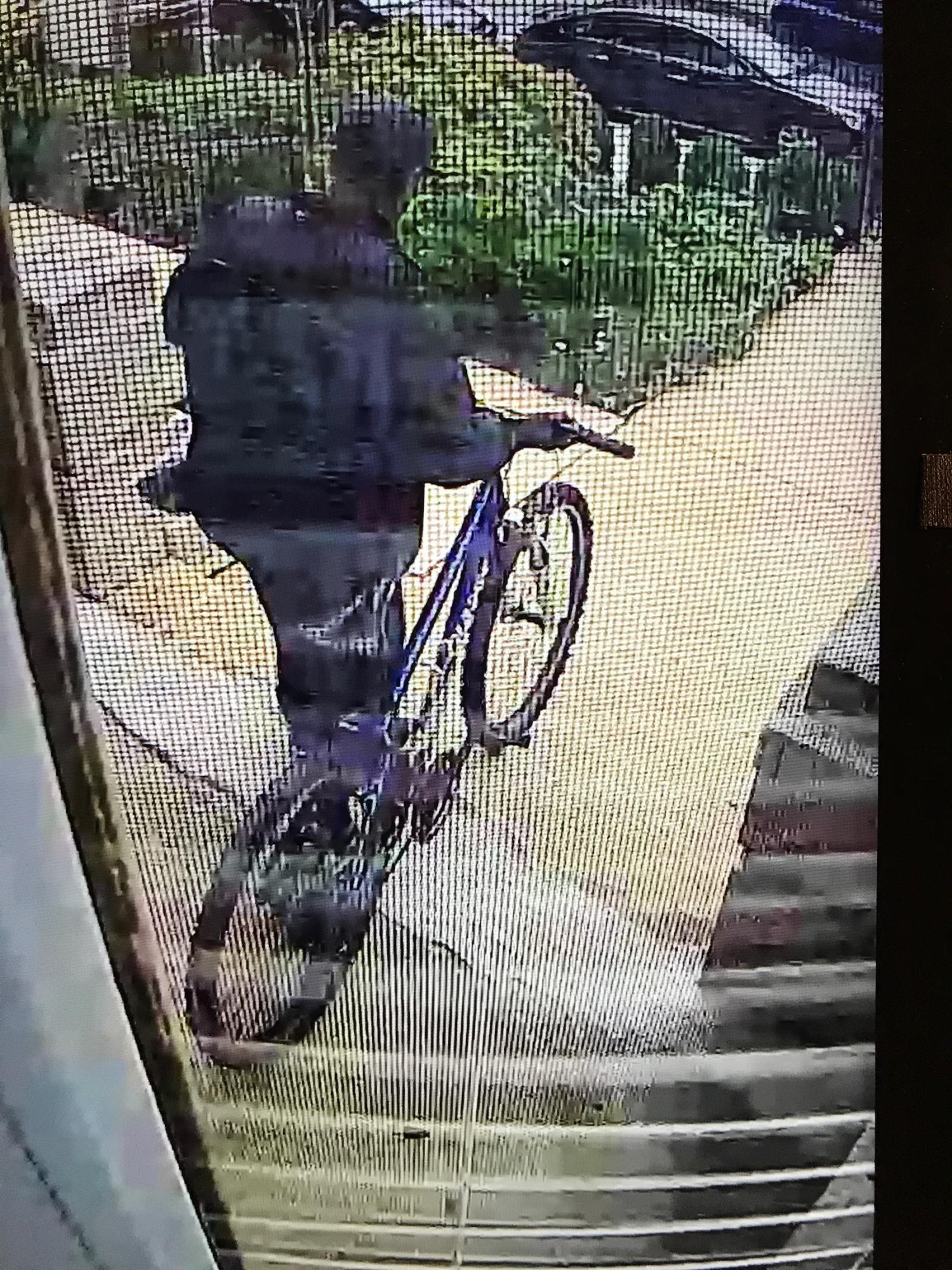 2008 Giant Boulder Blue