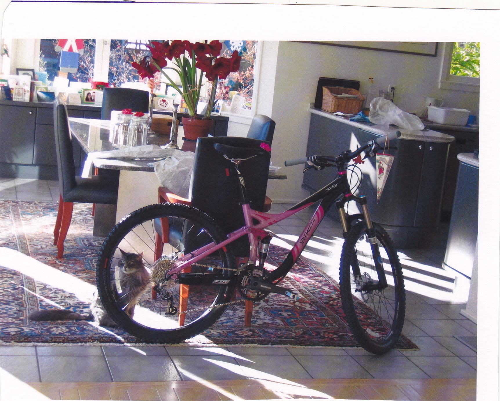 2008 Specialized Safire FSR Comp  Pink