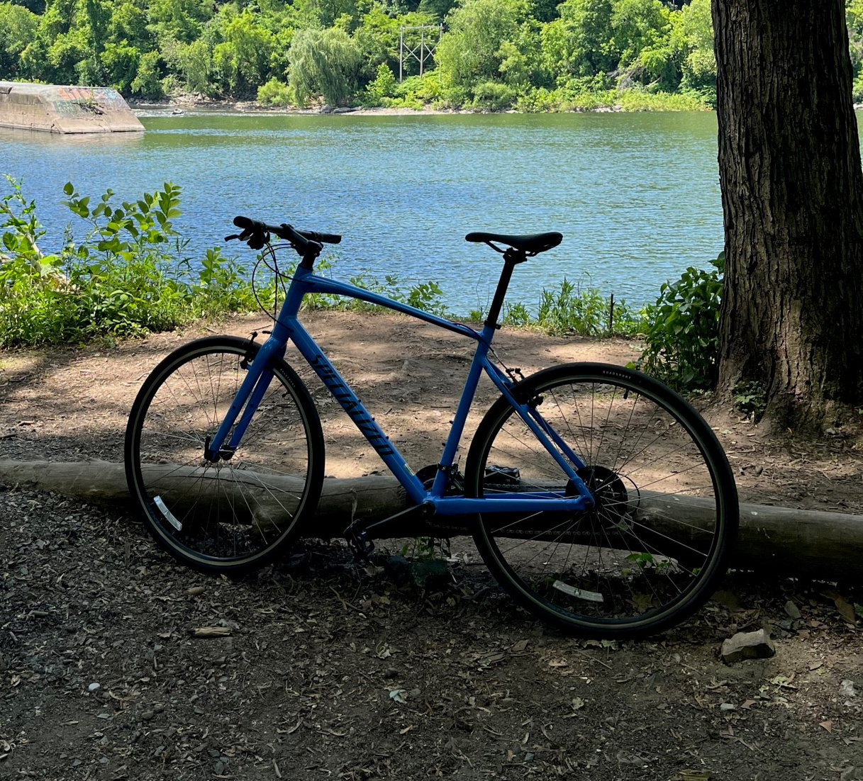 2023 Specialized Sirrus 1.0 Blue
